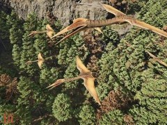 龙岛异兽起源手游什么时候公测