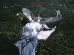 《燕云十六声》以鹅之鸣奇术获得方法介绍