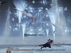 艾尔登法环黑夜君临卡莉果一阶段有哪些招式