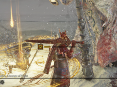 《艾尔登法环：黑夜君临》无赖流派推荐