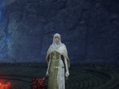 《艾尔登法环：黑夜君临》送葬者玩法攻略