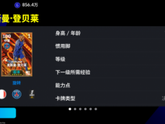 活动抢先看