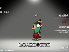 鹅鸭杀加拿大鹅是干嘛的