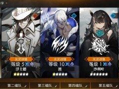 白夜极光新手队伍怎么搭配