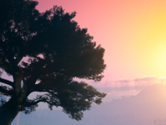 《燕云十六声》快速提升战力方法介绍