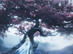 《天下贰·经典版》首年运营规划公开