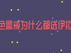 尤里的复仇哪个国家最厉害？