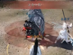 《燕云十六声》五人副本白驹飞霞通关攻略分享