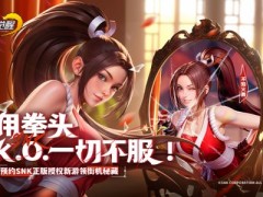 收集SNK传奇