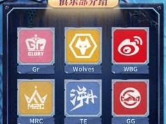 聚焦杭城