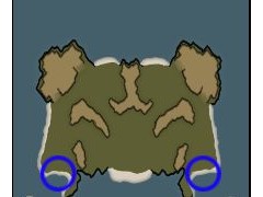 红色警戒3攻略之CabanaRepublic对战玩法