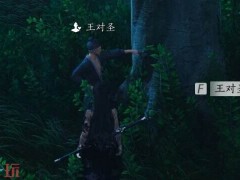 燕云十六声王对圣怎么结交