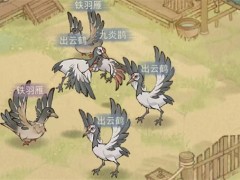 这城有良田灵禽词条洗练系统与洗练方法