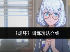 虚环训练怎么玩