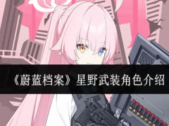 蔚蓝档案星野武装角色怎么样