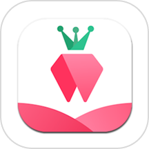 树莓小说阅读器