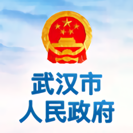 武汉市人民政府app苹果版
