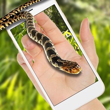 蛇屏幕恶作剧苹果版