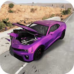 rcc真实车祸破解版游戏