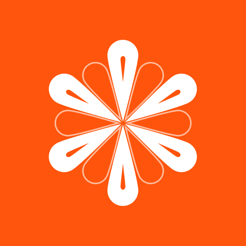 武汉智能公交app苹果版(武汉公交)