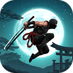 忍者战士2游戏(ninja warrior2)