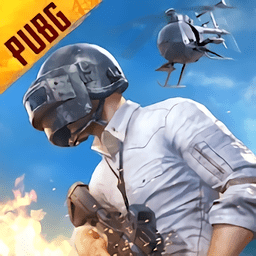 绝地求生国服(PUBG MOBILE)