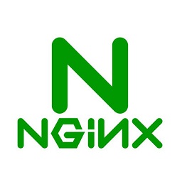 nginx中文版