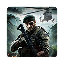 战地风暴国际服手机版