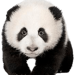 熊猫精灵脚本助手