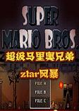 超级马里奥兄弟ztar风暴pc硬盘版