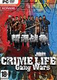 犯罪生涯：帮派战争英文版