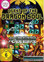 龙魂冒险(Quest of the Dragon Soul)中文版