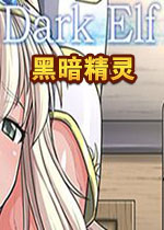 dark elf(黑暗精灵)繁体中文破解版