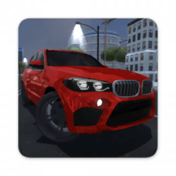 多人汽车驾驶模拟2020中文版