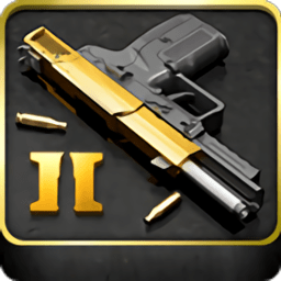 真实枪械2破解版