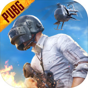 PUBGMOBILE国际版