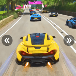 car race pro(方程式游戏大师赛车)