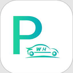 武汉路边停车缴费app(武汉停车)