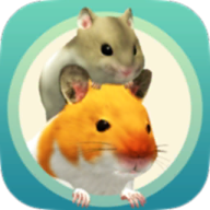 hammyhome仓鼠游戏我的仓鼠无限金币中文版