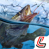 天天钓鱼2025破解版