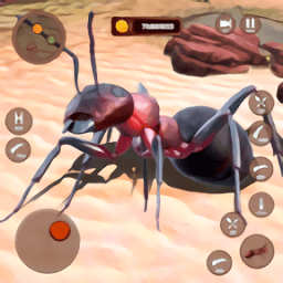 地下蚁群模拟器游戏(Ant Simulator)