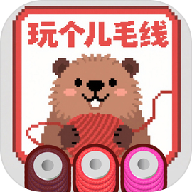 玩个儿毛线正版