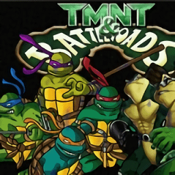 忍者神龟和忍者蛙游戏