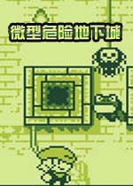 微型危险地下城