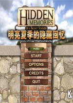 明亮夏季的隐藏回忆