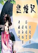 逃婚记中文完整版