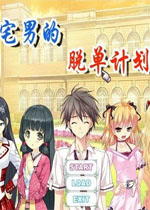 宅男的脱单计划中文硬盘版