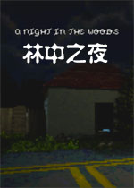 林中之夜
