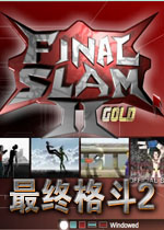 最终格斗2