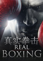 真实拳击